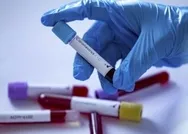 Bilim insanları ilk kez açıkladı! Koronavirüsün altında yatan neden! Yeni bir tehdit ortaya çıktı!