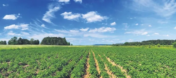 Garantili tarımla 40 bin kişiye iş
