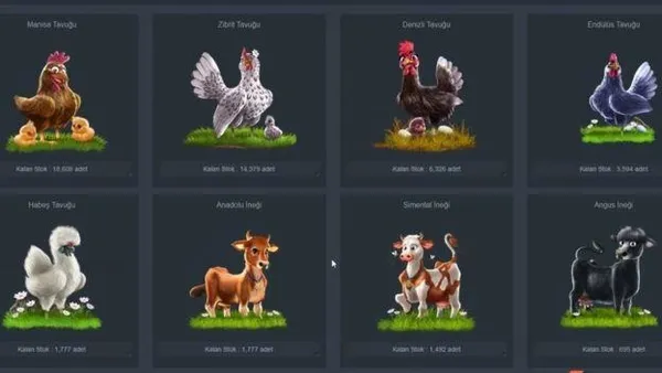 Çiftlik Bank'ın sahibinin 20 yaşındaki eşinden şok ifadeler-12