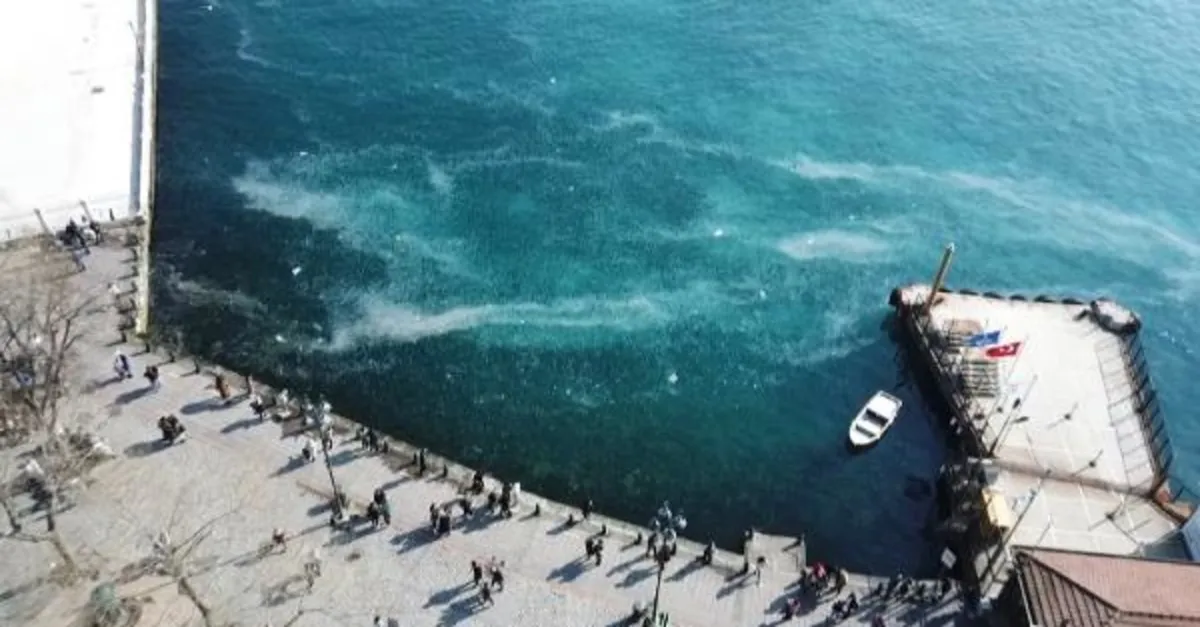 İstanbul Boğazı büyüklü küçüklü binlerce denizanasıyla beyaza büründü