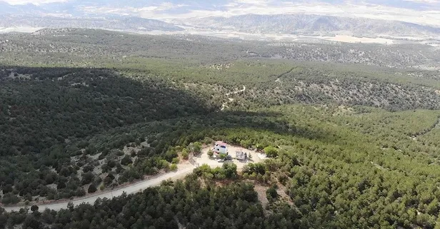 BM Türkiye'nin başarısını tescilledi! Ağaçlandırma yapan ülkeler klasmanında Avrupa'da birinci, dünyada 6'ncı sıradayız