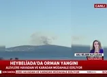 Son dakika: İstanbul Heybeliada'da yangın!
