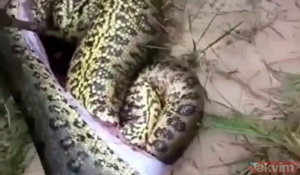 Duvarın içinden gelen seslerden ilallah etti sonunda paramparça etti! Gördükleri karşısında kalbi yerinden çıkacaktı - 24