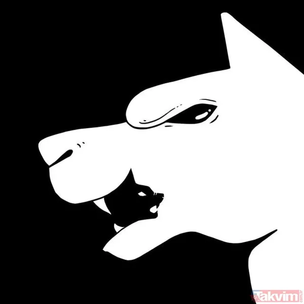 Bunu görüyorsanız çok zekisiniz! Bilim adamları açıkladı! İşte kişiliğinizi ortaya koyan o görsel... - 12