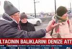 2.5 kilo İstavrit dolu kovayı Galata Köprüsü'nden denize boşalttı: “Ben veganım” deyip kaçtı