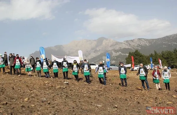 Adana Kozan'da geçtiğimiz yıl yanan 280 futbol sahası büyüklüğündeki alan 5 ay sonra yemyeşil - 2