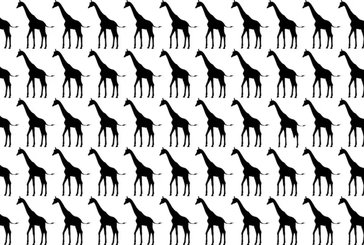Zürafaların olduğu görseldeki farklı hayvanı bulabilir misin?