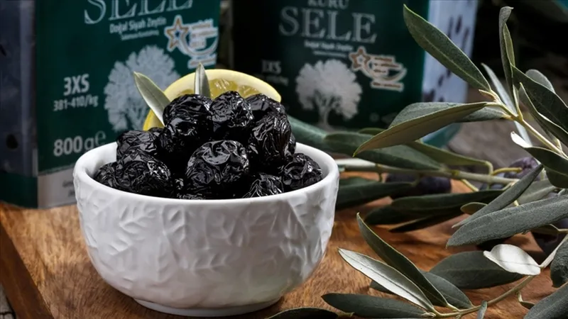 gece-uyumadan-2-3-adet-zeytin-yemek-bakin-ne-ise-yariyor-bu-derdin-dermani-zeytinde-1717442111566.jpg Bu derdin dermanı zeytinde! Gece uyumadan 2-3 adet zeytin yemek bakın ne işe yarıyor!-6