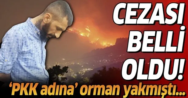 Son dakika:  Aydos Ormanı’nı yakan PKK’lı Yakup Akman’a müebbet hapis cezası