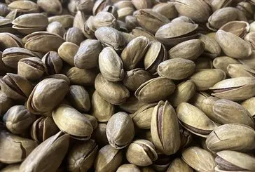 Fıstık gibi hafıza