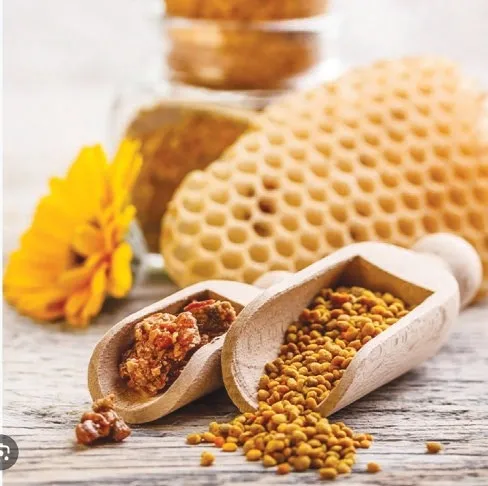 Hastalıklara kalkan propolis