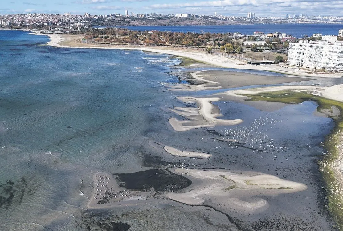 Deniz çekildi balıkçı kıpırdayamadı