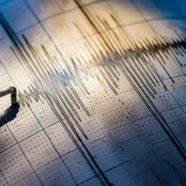 Van’da 4.6’lık korku