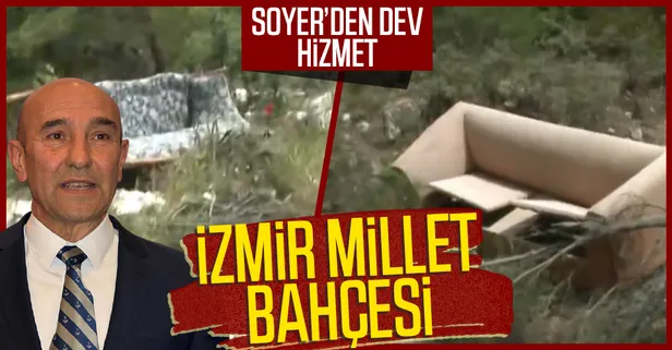 İzmir Çeşme'de çevre katliamı! Ormanlık alanda yürek sızlatan manzara