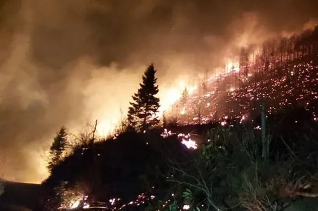 Karadeniz'de 26 noktada orman yangını! 5 ev kül olldu!