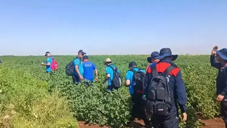Kayıp Narin bulundu mu? Narin Güran kimdir, kaç yaşında, nerede kayboldu, kaç gündür kayıp?-4