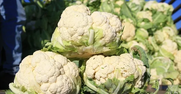 Karnabahar ülser oluşumunu engelliyor