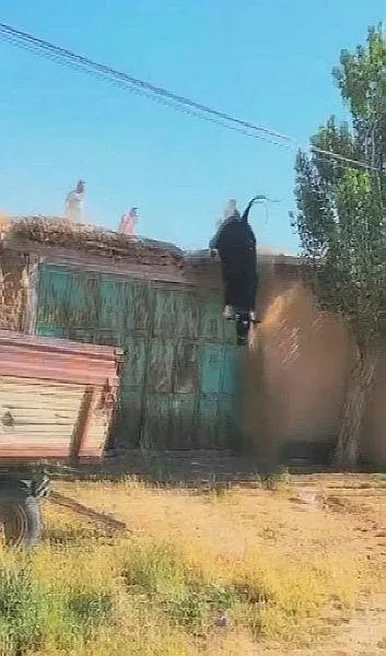 konyada-ilginc-goruntuler-kacan-boga-catiya-cikti-o-anlar-kameralarda-1718490435980.jpeg Konya'da ilginç görüntüler: Sahibinden kaçan kurbanlık boğa çatıya çıktı | O anlar kameralarda-4