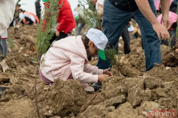 Muğla'da, Muğla Orman Bölge Müdürlüğü Sorumluluk Alanı 33 Bin, Aydın İlinde İse 7 Bin Değişik Türde Fidan Toprak İle Buluştu. Muğla'da 13 Lokasyonda Fidan...