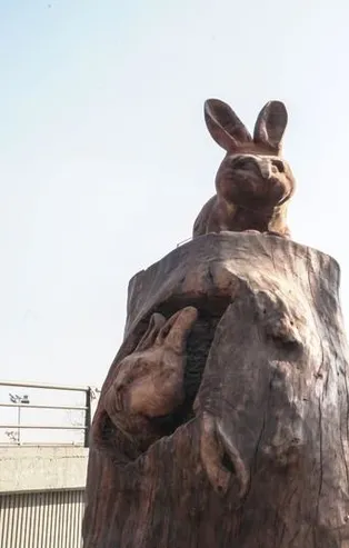 CHP'li Mansur Yavaş'ın yeni icraatı! Önce Ankara Büyükşehir Belediyesi'nden başladı