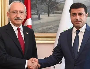 CHP'liler "Başkan Apo'nun heykelini dikeceğiz" diyen Selahattin Demirtaş için birleşti!