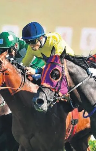 TJK’dan Milli Dayanışma Kampanyası’na destek