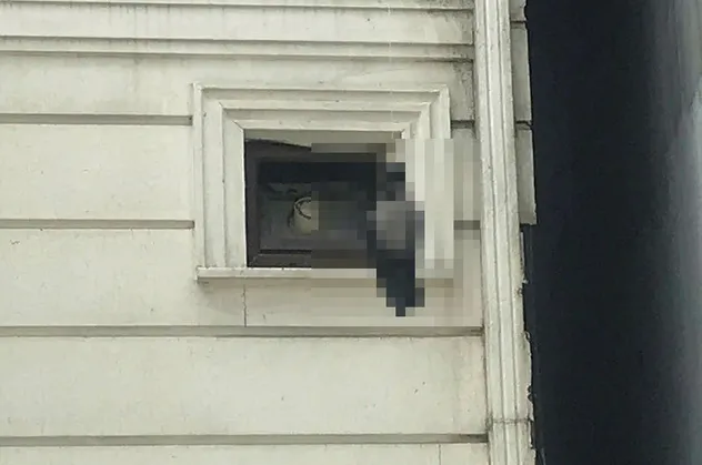 İstanbul'da kan donduran görüntü! Boynundan asarak öldürdüler