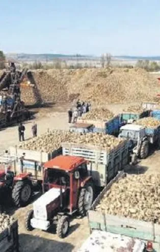 Stokçuların yalanı elinde patladı: Şeker depoları ağzına kadar dolu