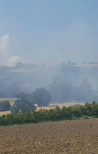 Son dakika: Çanakkale'de orman yangını!
