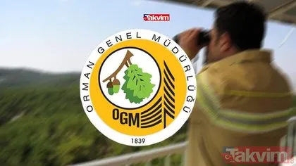 OGM işçi alımı başvuru ekranı: İŞKUR Orman Genel Müdürlüğü 2.083 personel alımı başvuru şartları nedir? Kadro dağılımı...