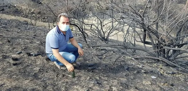Son dakika: Türkiye'nin gündemine oturmuştu! Hatay yangını bölgesinde skandal yazı: 'Ne varsa yansın' - 1