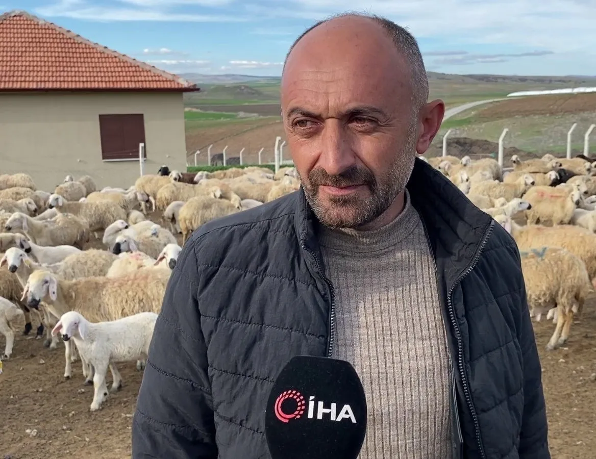 Yozgat’ta öğretmenliği bırakıp devlet desteği ile koyun yetiştiriciliğine başladı! Şimdi tam 500 koyunu var