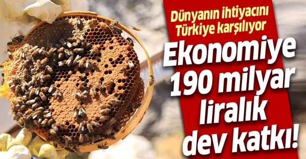 Ekonomiye 190 milyar liralık katkı! Dünyanın ihtiyacını Türkiye karşılıyor