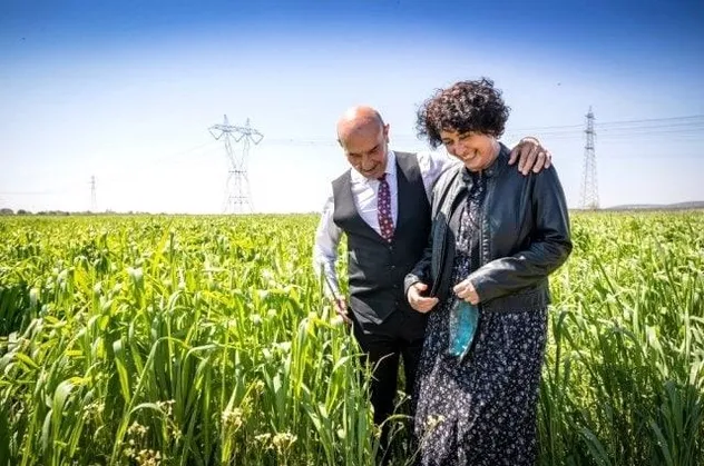 CHP'li Tunç Soyer eşi Neptün Soyer’i ihaleye boğdu! Süt, kavurma derken şimdi de enginar!