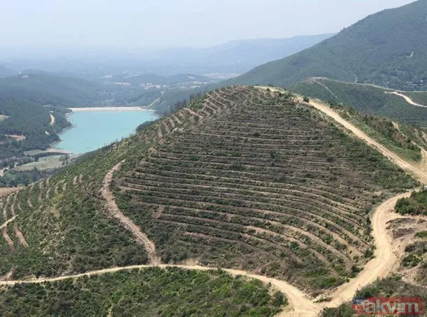 Adana Kozan'da geçtiğimiz yıl yanan 280 futbol sahası büyüklüğündeki alan 5 ay sonra yemyeşil - 6