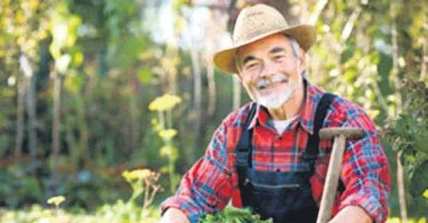 Tarımda yeni model | Ekonomi haberleri