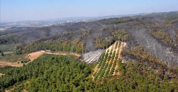 Bursa Valiliği açıkladı! 1 Eylül’e kadar piknik alanları ve mesire yerlerinde ateş yakmak yasaklandı