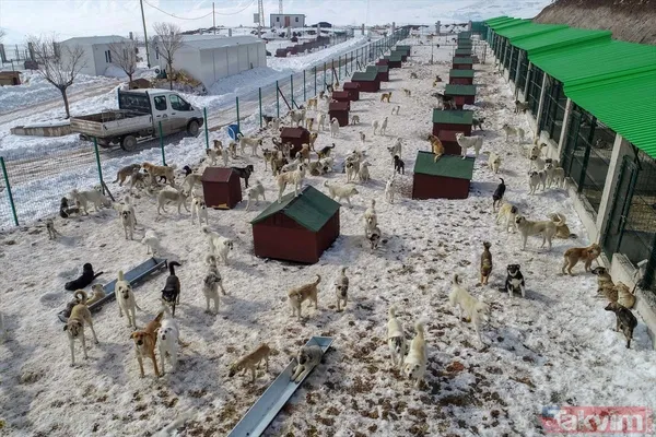 SON DAKİKA: PKK'yı HDP'yi rahatsız eden fotoğraf! Yüksekova'nın eski halinden eser yok - 25