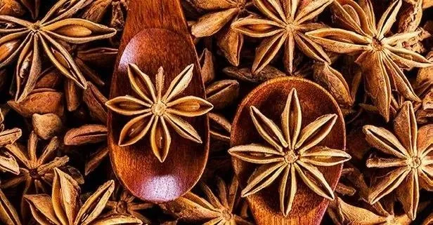 Anason çayının faydaları nelerdir?