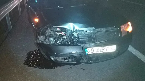 Bayburt'ta otomobil ayıya çarptı: 3 çocuk yaralı-1