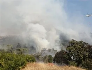 PKK’lı terörist ormanları yaktı