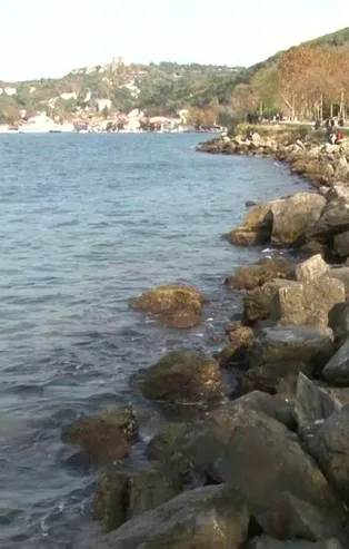 İstanbul Beykoz'da tedirgin eden görüntü! Bir anda 80 cm çekildi!