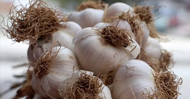 Sarımsak kalbe çare