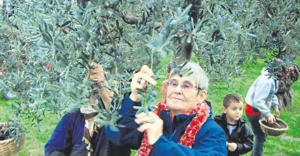 Zeytinyağı altındır