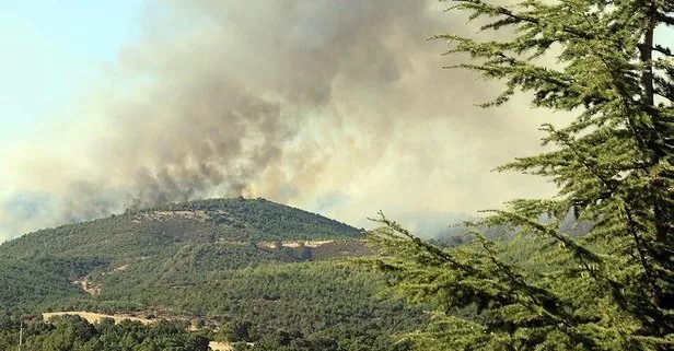 Son Dakika Usak Ta Orman Yangini Kontrol Altina Alindi Takvim