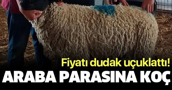 Araba Fiyatina Koc 5 Bin Euroya Alici Buldu Takvim