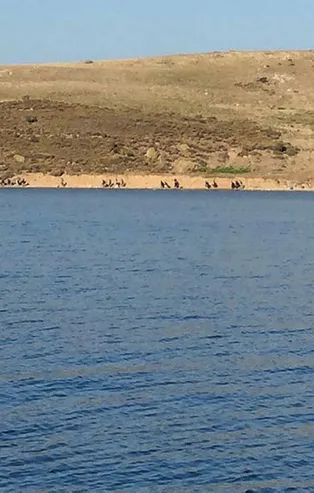 Adada mahsur kalmışlardı! Hepsi kurtarıldı