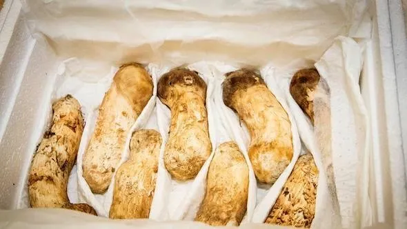 Kim Jong Un hediyesi olay oldu! Fiyatı dudak uçuklattı-3