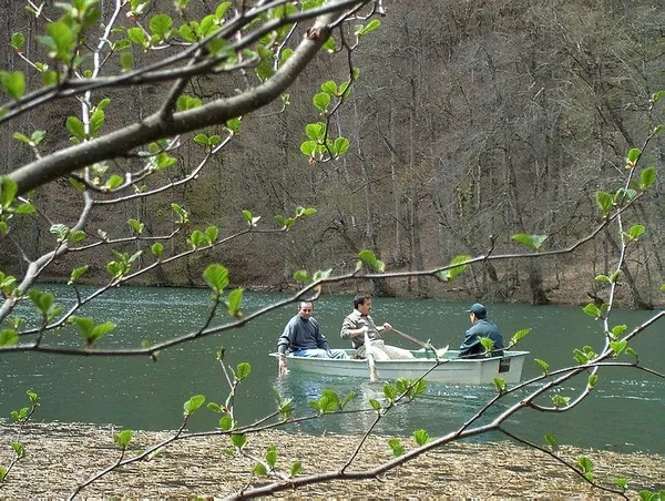 bolu-valiligi-duyurdu-o-tarihe-kadar-ormanlara-girisler-yasaklandi-1689168134205.jpeg Bolu Valiliği duyurdu! O tarihe kadar ormanlara girişler yasaklandı!-4
