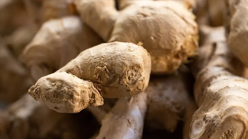 1-tatli-kasigi-tuketmek-yeterli-ac-karnina-yiyince-direk-beyni-gelistiriyor-1730209481116.jpg Aç karnına yiyince direk beyni geliştiriyor! 1 tatlı kaşığı tüketmek yeterli!-4